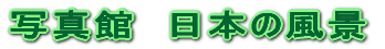 �ʐ^�ف@���{�̕��i 