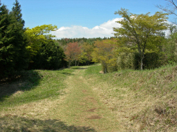 H14