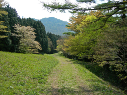 H15