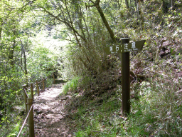 H19