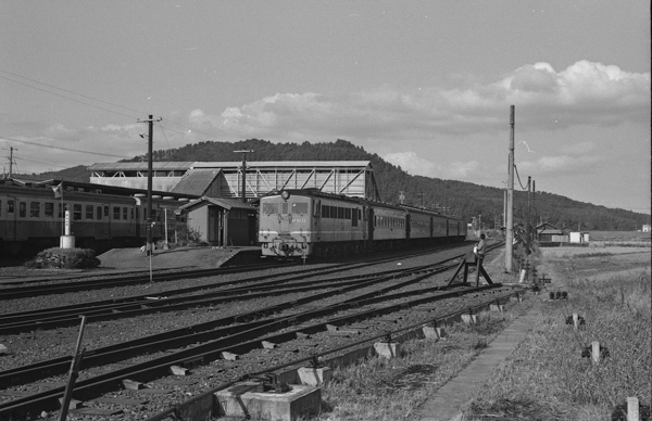 �ģƣ�����1977ǯ������������¿����