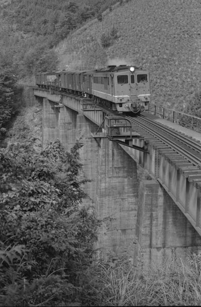 �ģƣ�����1978ǯ����������������Ĺ����ߥ�ë