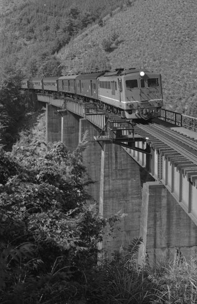 �ģƣ�����1978ǯ����������������Ĺ����ߥ�ë