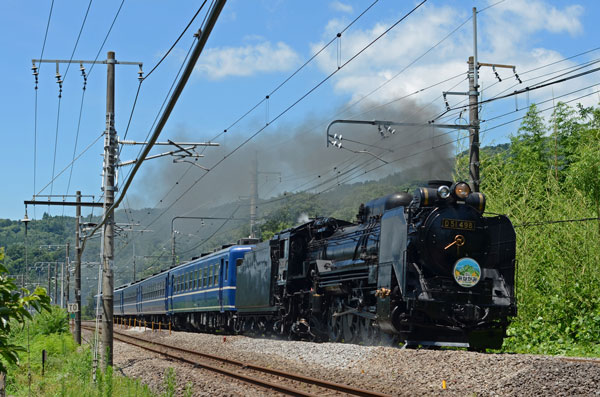 D51