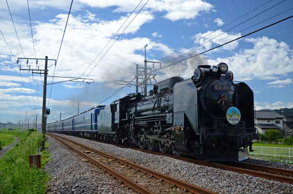 D51