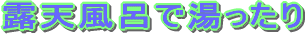 �I�V���C�œ�������