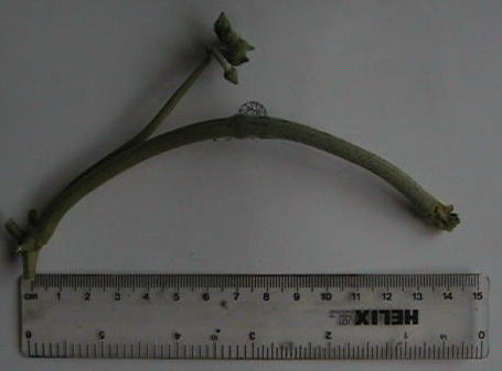 �ւ��܂P�O�D�Q�R