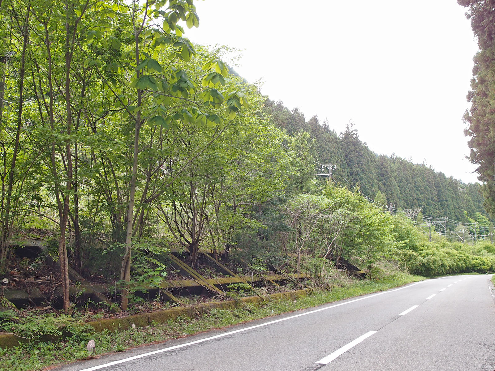 霧積街道脇の線路