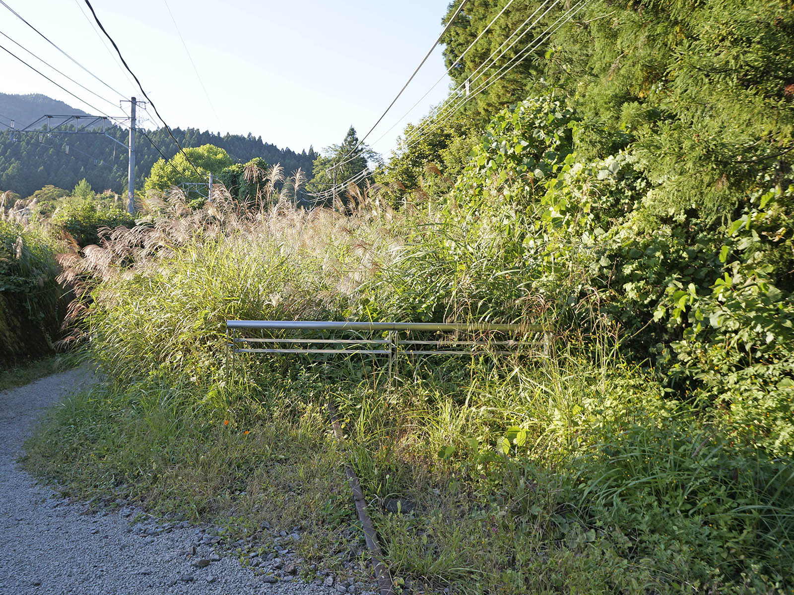 上り線線路の現状