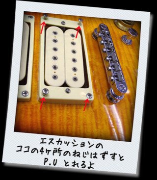 P.U ͂