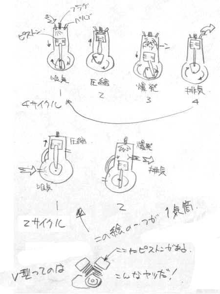 STCN