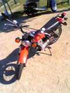 SgEO
