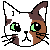 猫の顔