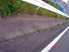 �N���b�N����Ɗg�債�܂�