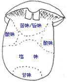 強く 感じる を 苦味 食のいま 第61号