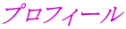 �v���t�B�[��