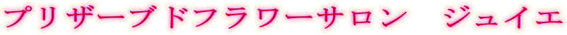 �v���U�[�u�h�t�����[�T�����@�W���C�G
