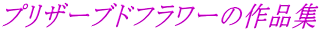 �v���U�[�u�h�t�����[�̍�i�W
