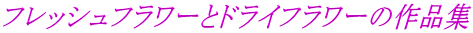�t���b�V���t�����[�ƃh���C�t�����[�̍�i�W