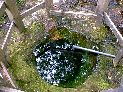 弘法池の水