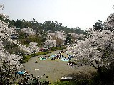 石川門下の花見客