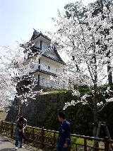 五十間長屋の櫓と桜