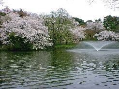 さくら名所百選