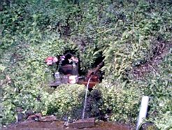 �⊄�̖���