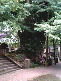 上日寺の観音菩薩霊水2