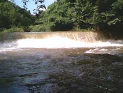 �{�����P