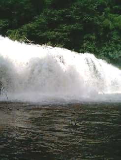 �{�����Q