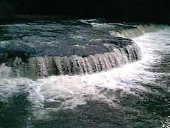 �{�����R