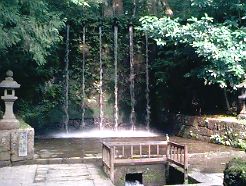 大岩日石寺の藤水1
