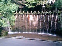 大岩日石寺の藤水3