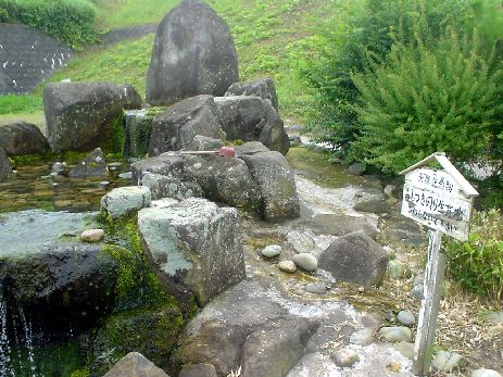 中田いきものの里公園