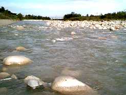 ������̐����P