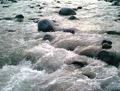 ������̐����Q