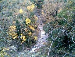 小矢部川の長瀞1