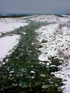 常願寺川の清流2
