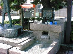 �����̗��Q