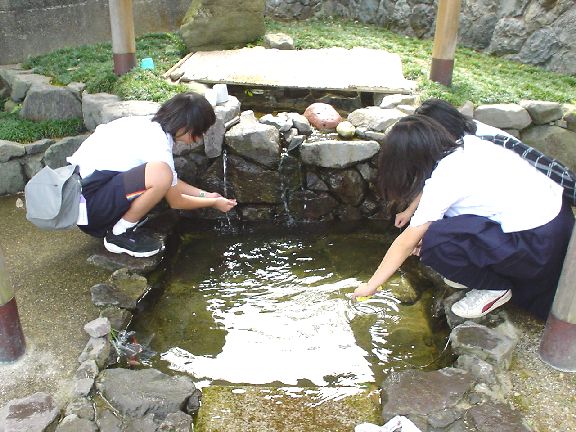 福岡町 殿様清水2