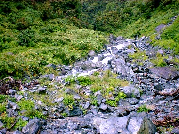 尾ノ沼谷の渓流