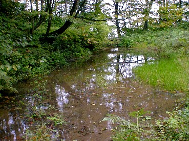 駒洗い池1