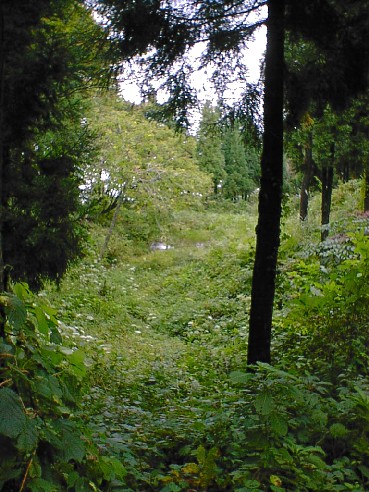 駒洗い池2