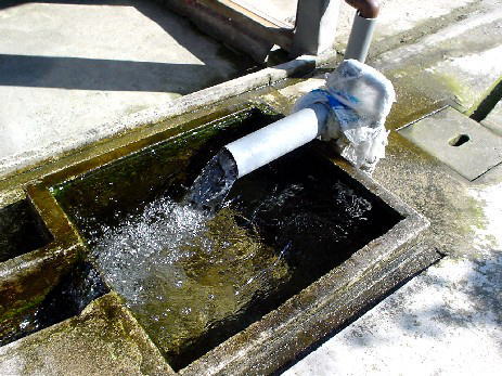 �Ђ��肪�܂S