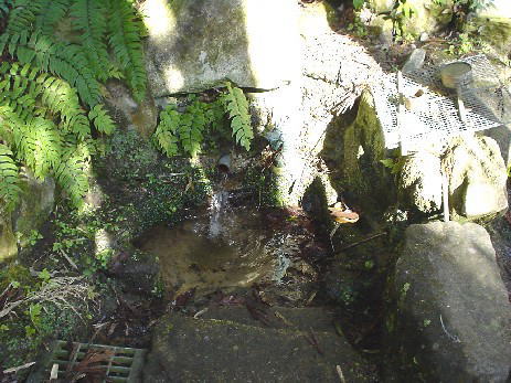 二上射水神社 いやしの水