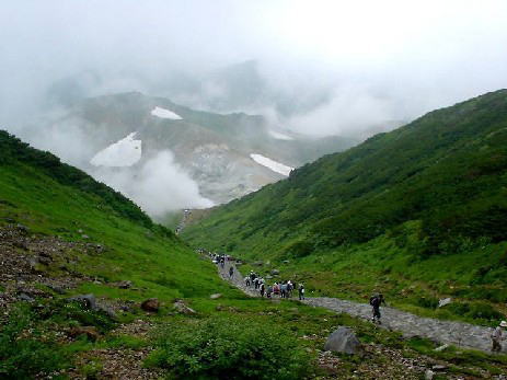 �݂��肪�r����n���J�Ɍ������l�B