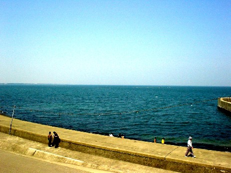 �u�^���\�s�A�v����]�ޕx�R�p