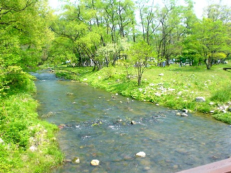 自然をそのままの形で生かした公園です
