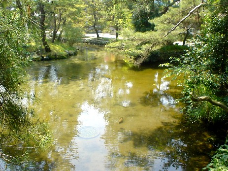 池に湧き出す清水